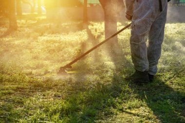Gün batımında bahçede çimenleri budayarak kesen işçi..