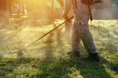 Gün batımında bahçede çimenleri budayarak kesen işçi..