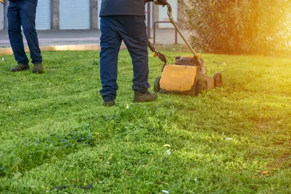 Bahçede çim biçme makinesi olan bir bahçıvan.. 