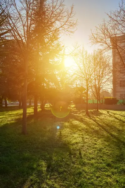 Şehir parkının güzel manzarası 