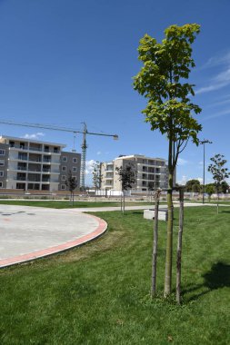 Güzel bir şehir, şehir manzarası