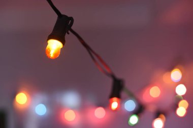 Renkli ışıklar, çelenkler, kapatın