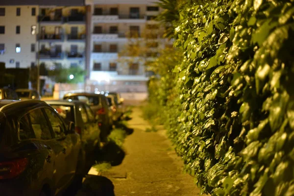 Şehir caddesinin gece manzarası 