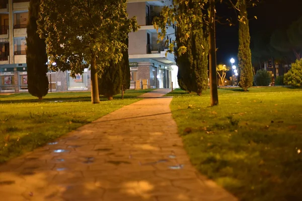 Ağaçlı ve fenerli bir caddenin gece manzarası