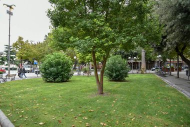 Şehir parkının güzel manzarası 