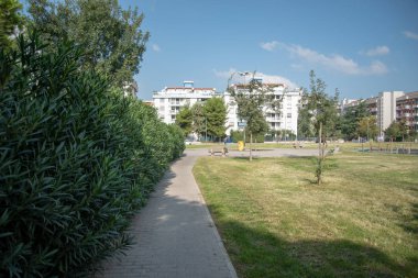 Güzel bir şehir parkı manzarası, şehir