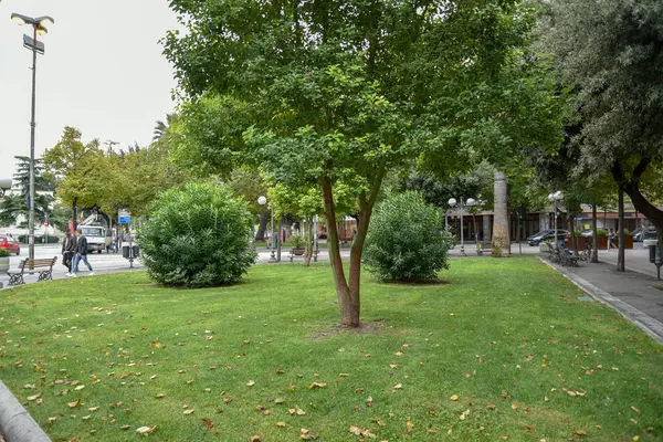 Şehir parkının güzel manzarası 