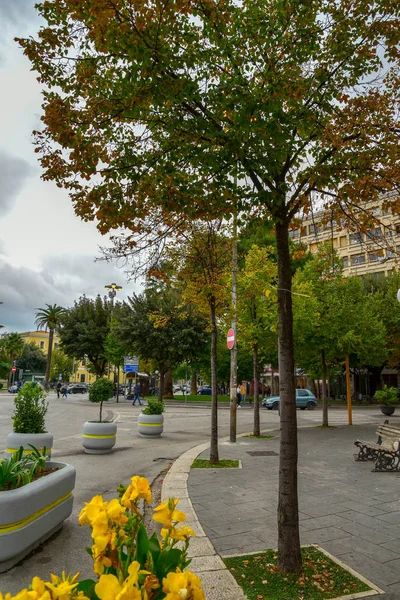 Şehir parkının güzel manzarası 