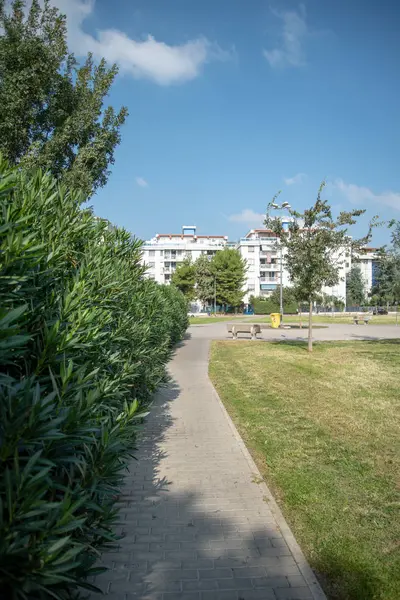 Güzel bir şehir parkı manzarası, şehir