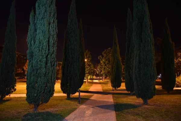Parkın gece manzarası. güzel doğa.