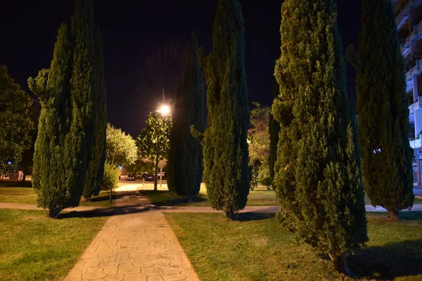 Parkın gece manzarası. güzel doğa.