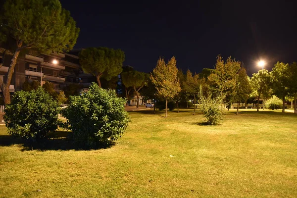 Parkın gece manzarası. güzel doğa.