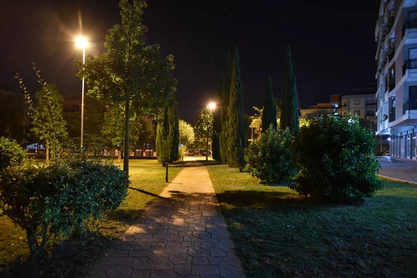 Parkın gece manzarası. güzel doğa.