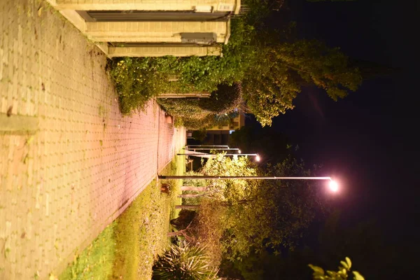 Şehir parkının gece manzarası, doğa 