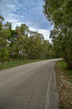 Güzel bir şehir parkı manzarası. 