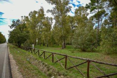 Güzel bir şehir parkı manzarası. 