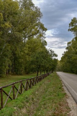 Güzel bir şehir parkı manzarası. 