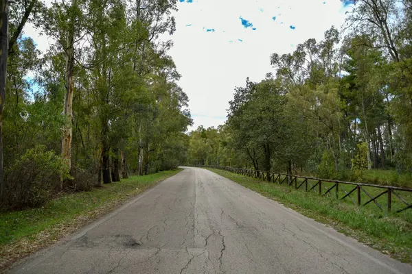 Güzel bir şehir parkı manzarası. 