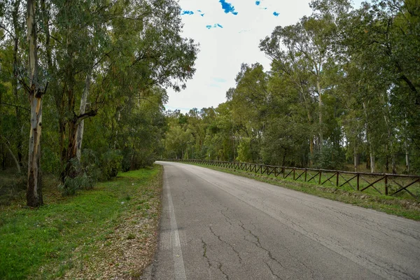 Güzel bir şehir parkı manzarası. 