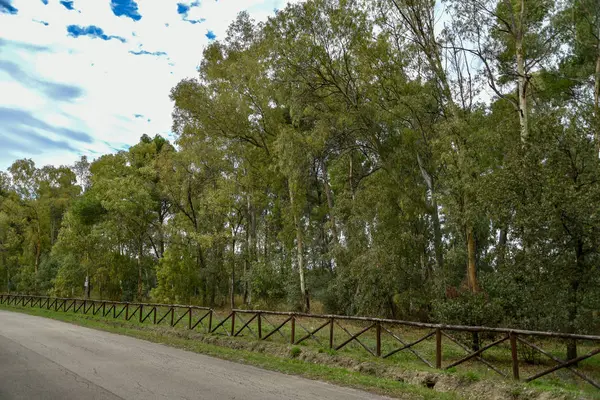 Güzel bir şehir parkı manzarası. 