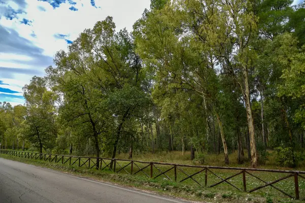 Güzel bir şehir parkı manzarası. 