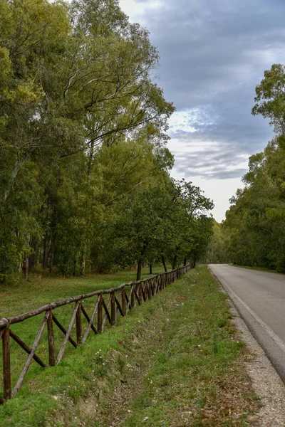 Güzel bir şehir parkı manzarası. 