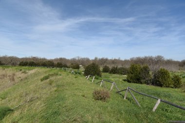 Sabaha kadar içinde küçük ve büyük meşeler olan odunlar