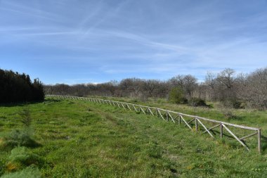 Sabaha kadar içinde küçük ve büyük meşeler olan odunlar