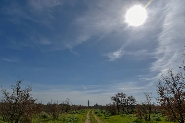 Sabaha kadar içinde küçük ve büyük meşeler olan odunlar
