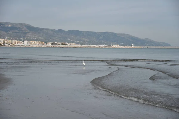 Seascape Sobre Cidade Pela Manhã — Fotografia de Stock