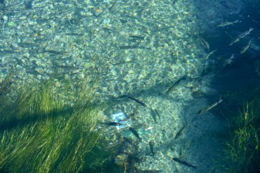 Sabaha kadar mavi nehir yüzeyi