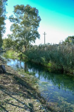 Sabaha kadar Siponto dere ve yol küçük bir parçası