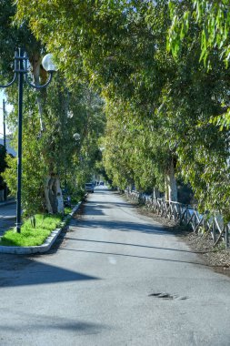 Sabaha kadar Siponto dere ve yol küçük bir parçası