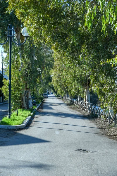 Sabaha kadar Siponto dere ve yol küçük bir parçası