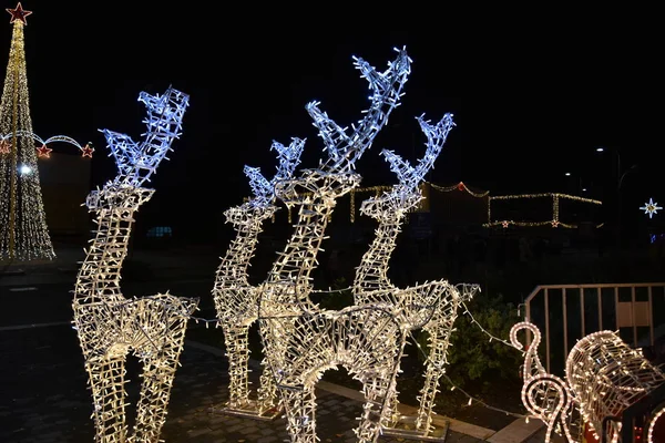 Şehirde Noel ışıklı reindeer