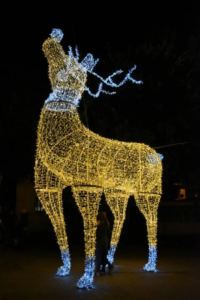 Şehirde Noel ışıklı reindeer