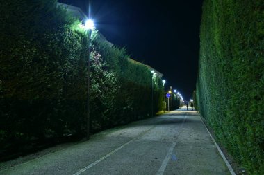 Şehirde gece bisikletyolu lambalarla aydınlatıldı