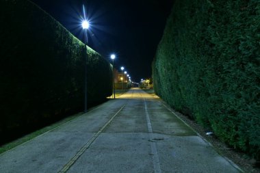 Şehirde gece bisikletyolu lambalarla aydınlatıldı