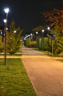 Şehirde gece bisikletyolu lambalarla aydınlatıldı