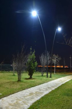 Şehirde gece parkı yolu ile lambalar ile aydınlatılmış
