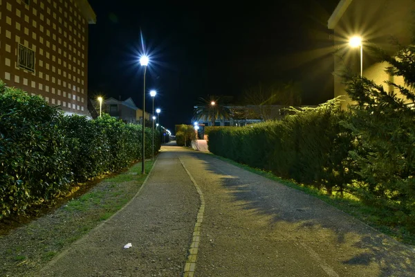 Caminho Bicicleta Noturna Cidade Iluminado Por Lâmpadas — Fotografia de Stock