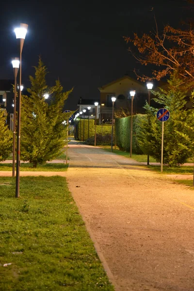 Şehirde gece bisikletyolu lambalarla aydınlatıldı