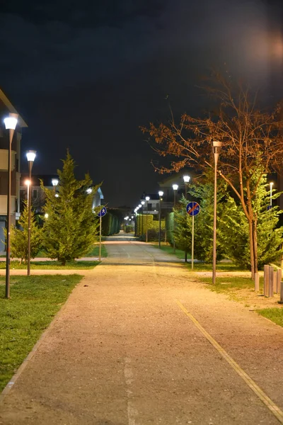 Şehirde gece bisikletyolu lambalarla aydınlatıldı