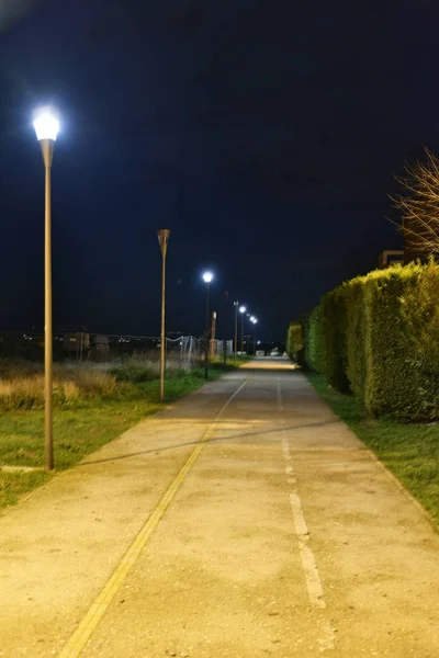 Şehirde gece bisikletyolu lambalarla aydınlatıldı