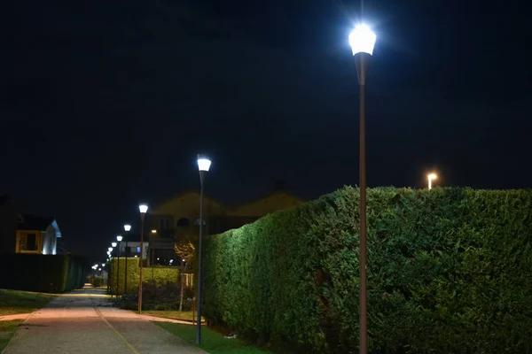 Vía Nocturna Con Setos Iluminados Por Lámparas —  Fotos de Stock