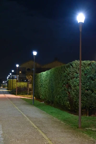 Vía Nocturna Con Setos Iluminados Por Lámparas —  Fotos de Stock