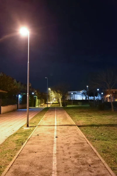 Parque Noturno Cidade Iluminado Por Lâmpadas Com Caminho — Fotografia de Stock