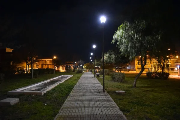 Şehirde gece parkı yolu ile lambalar ile aydınlatılmış