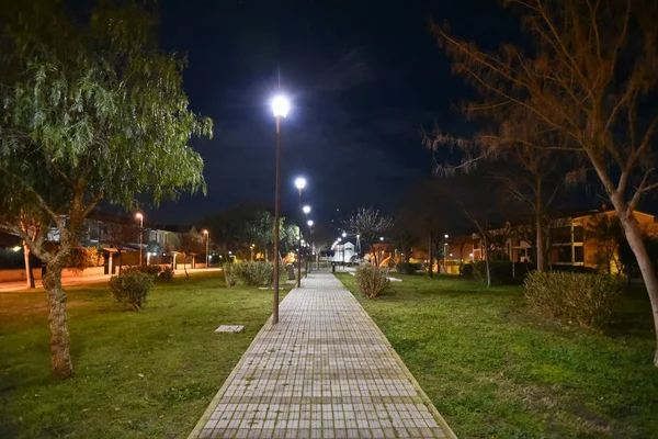 Νυχτερινό Πάρκο Στην Πόλη Φωτισμένο Από Λαμπτήρες Μονοπάτι — Φωτογραφία Αρχείου