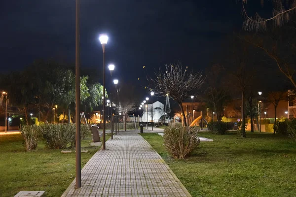 Parque Noturno Cidade Iluminado Por Lâmpadas Com Caminho — Fotografia de Stock